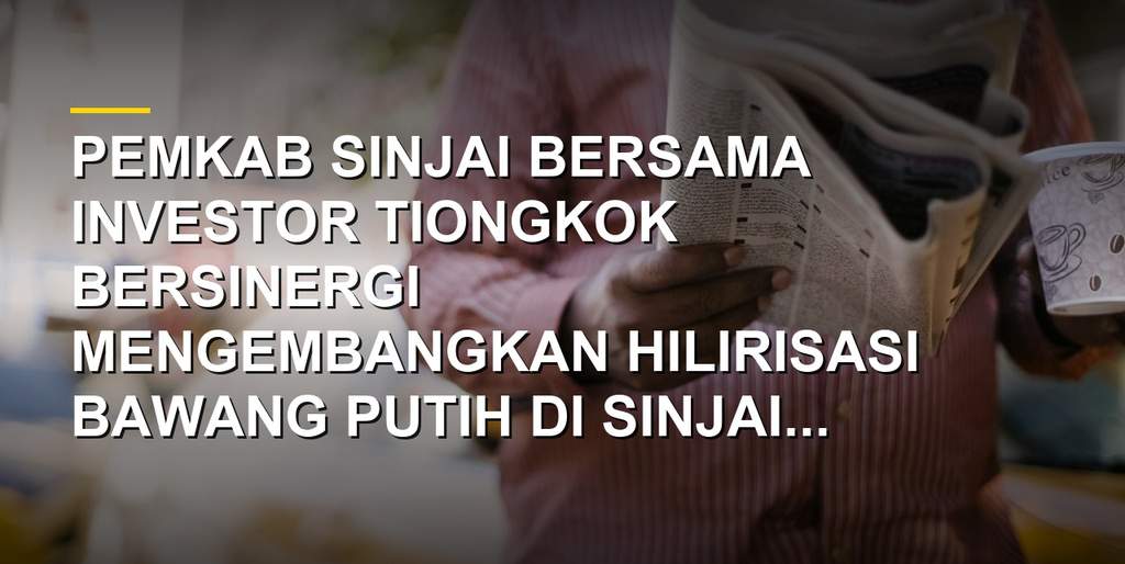 Bupati dan Wakil Bupati Sinjai sambut investor Tiongkok untuk hilirisasi bawang putih di Sinjai Barat