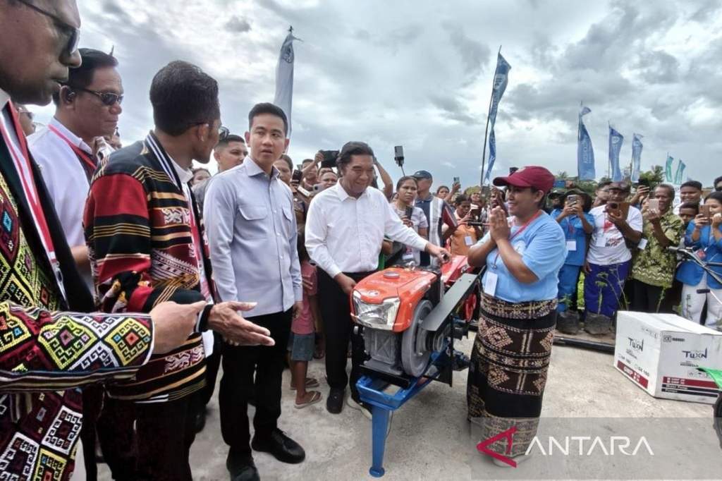 Wakil Presiden Gibran Rakabuming Raka meninjau hasil pertanian di Kupang