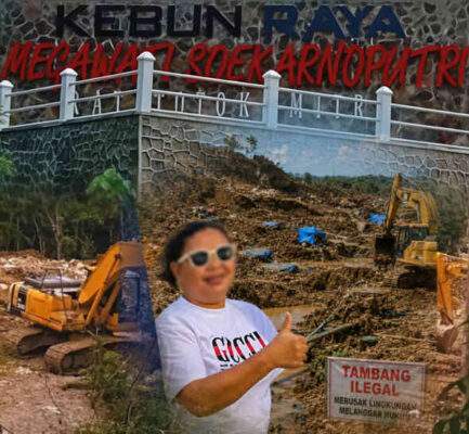 Aktivitas alat berat di tambang emas ilegal Kebun Raya Megawati Soekarnoputri Minahasa Tenggara