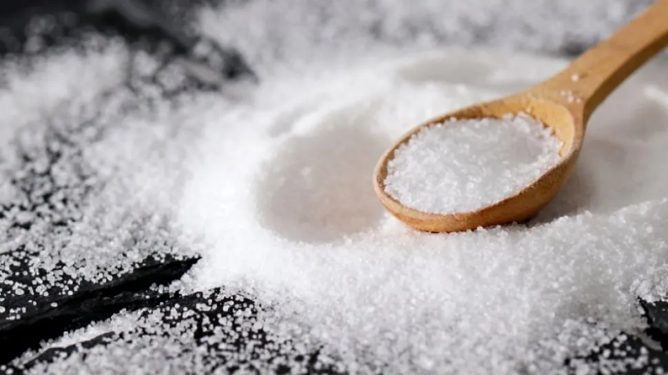 Analisis Ancaman Mikroplastik, Proyeksi Keamanan Pangan Garam