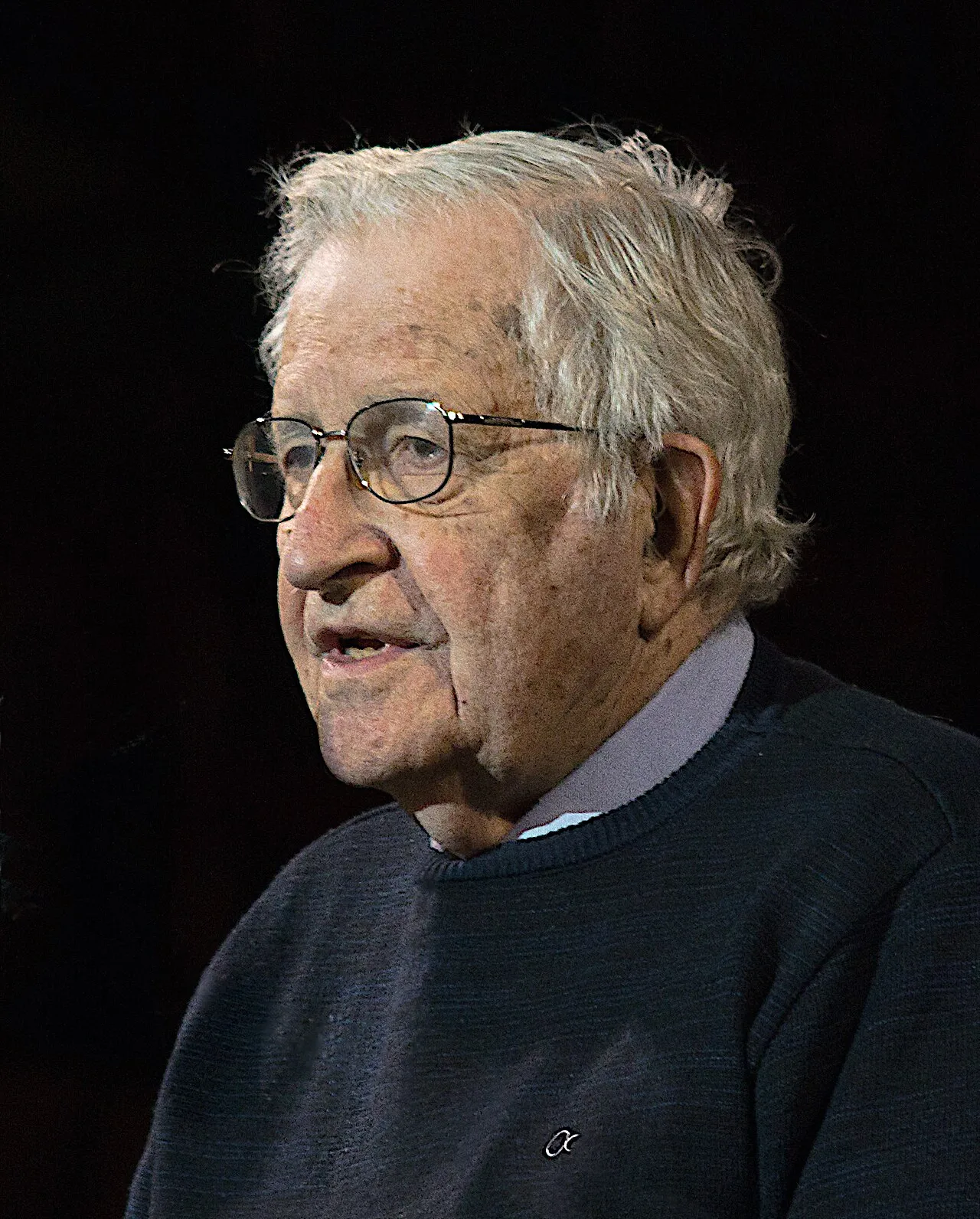 Biografi Noam Chomsky, Perjalanan Hidup Bapak Linguistik Modern