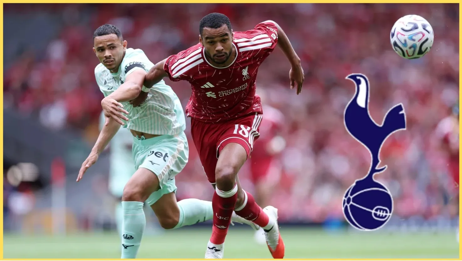 Cody Gakpo penyerang Liverpool dalam incaran transfer Tottenham Hotspur