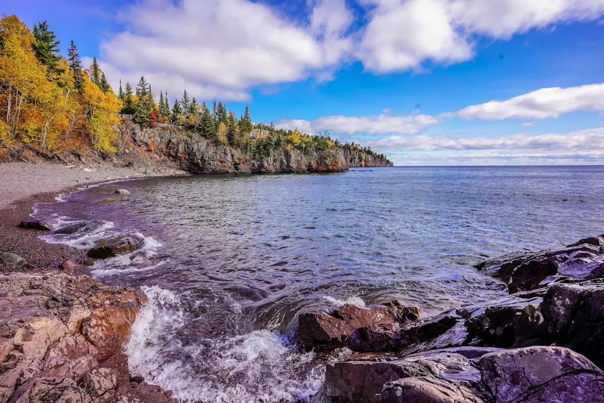 Pemandangan indah di Custer State Park Amerika Serikat