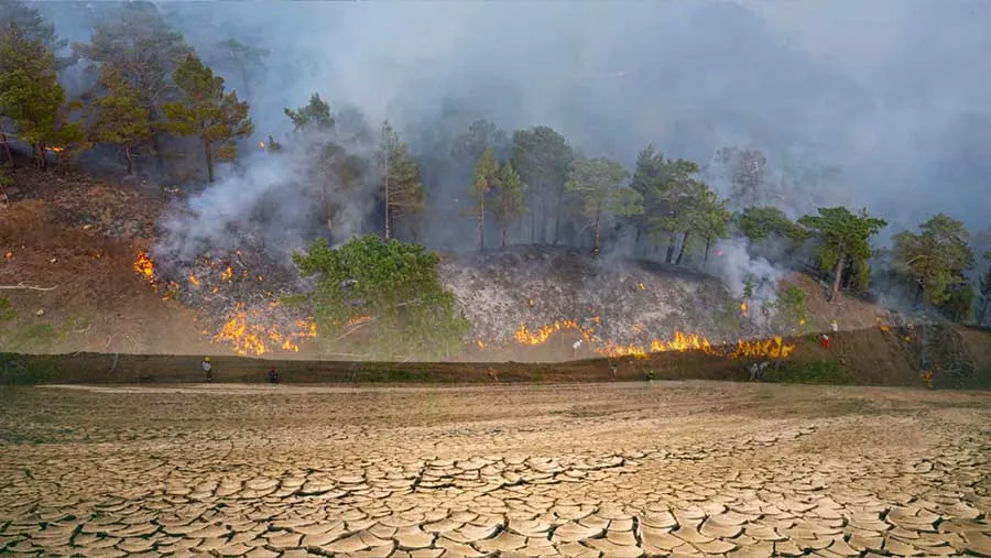 Ilustrasi kekeringan akibat El Nino yang mengancam wilayah Asia Tenggara
