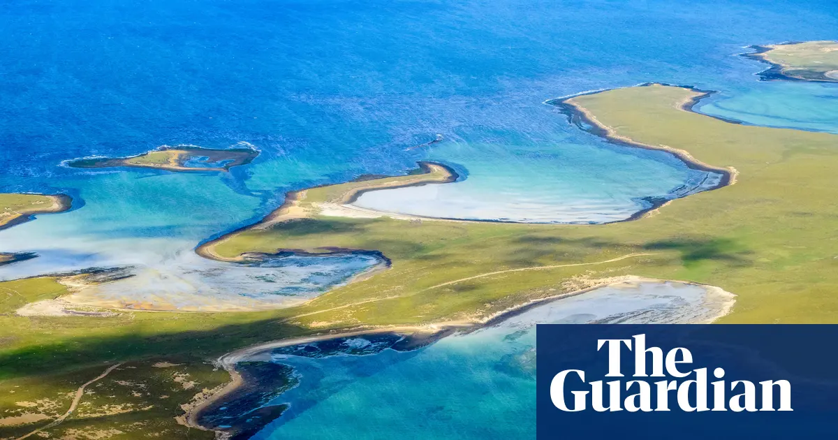 Pemandangan pesisir Falkland Islands yang menjadi lokasi rencana pembangunan tambak salmon