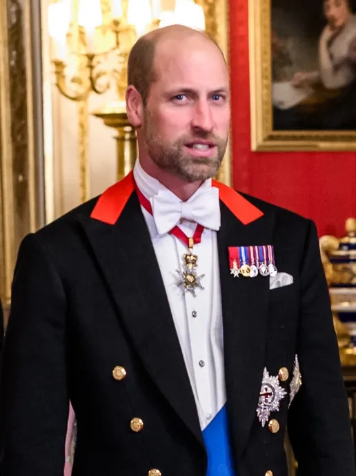 Foto resmi Pangeran William, Pangeran Wales, dengan pakaian formal kerajaan