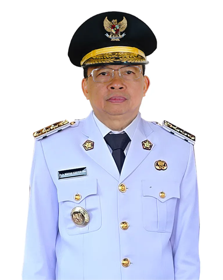 Profil I Wayan Koster sebagai Gubernur Bali dan politikus PDI-P
