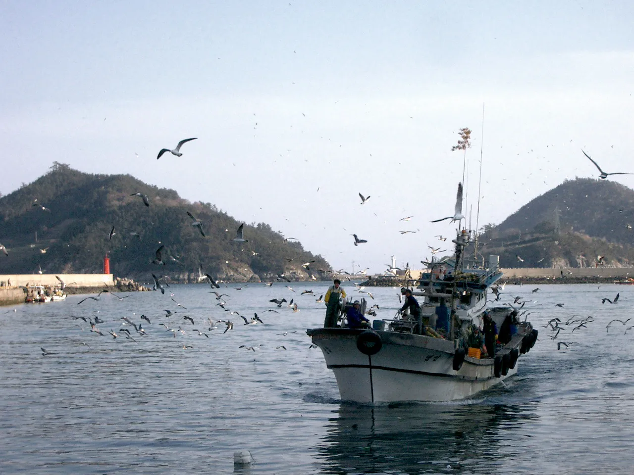 Industri budidaya ikan menyumbang lebih dari 50% produksi seafood dunia