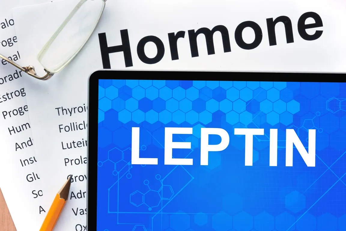 Ilustrasi penelitian medis terkait hormon leptin dan penyesuaian jam biologis tubuh