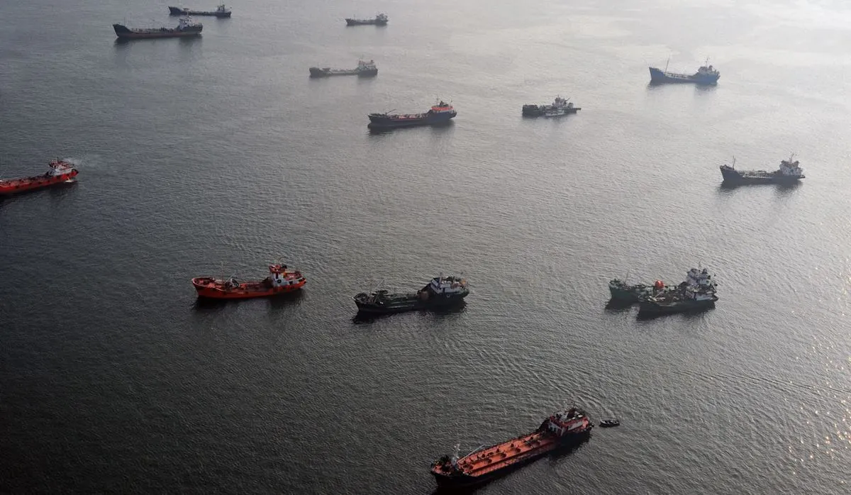 Kapal kargo yang terjebak di perairan Teluk Persia berpotensi memicu penyebaran spesies invasif
