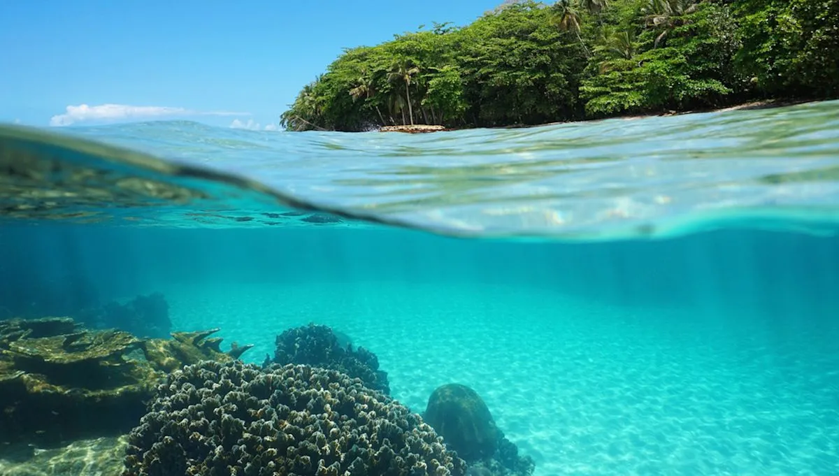 Karang laut dalam Laurinque elenya berwarna kuning cerah di Kosta Rika