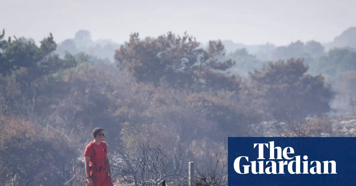 Kawasan Dunwich Heath yang hangus terbakar di Suffolk, Inggris
