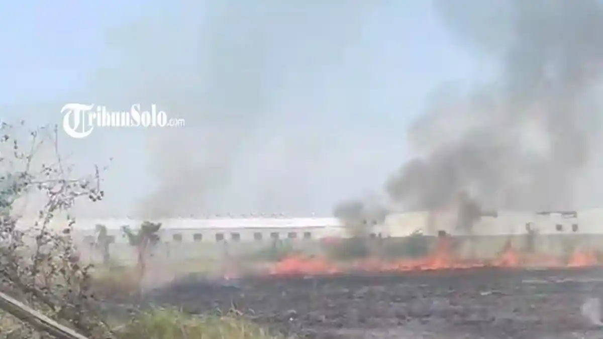 Petugas pemadam kebakaran memadamkan lahan kering yang terbakar di Nguter Sukoharjo