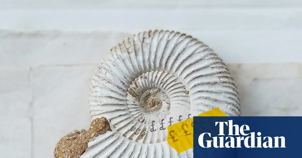 Koleksi fosil Jurassic Coast Dorset Inggris yang kini dipamerkan di museum Abu Dhabi