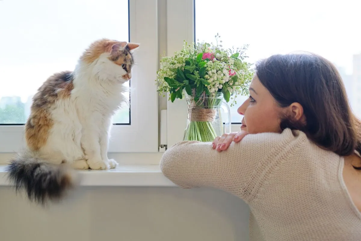 Kucing peliharaan sedang bersantai bersama pemiliknya di rumah