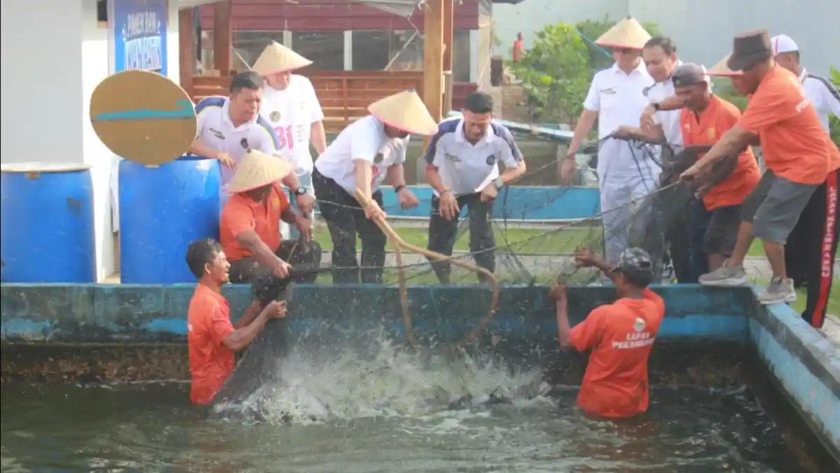 Lapas Kelas IIA Pekanbaru panen 1,5 ton ikan patin dan tebar benih lele