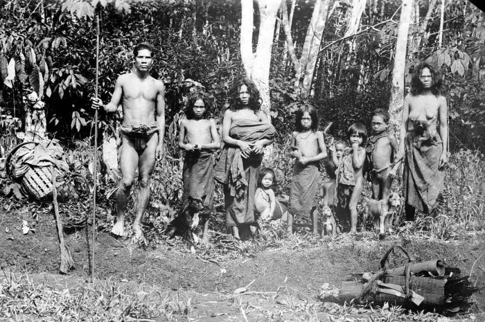 Potret kehidupan Suku Anak Dalam atau Orang Rimba di dalam kawasan hutan Sumatra