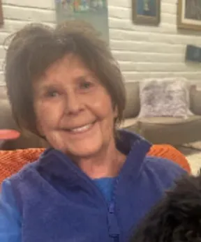 Ilustrasi investigasi kasus penculikan Nancy Guthrie di Tucson Arizona