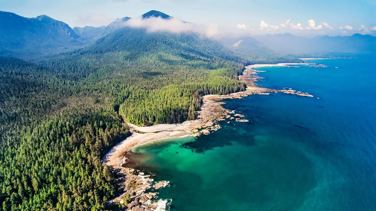 Muqin-Brooks Peninsula Provincial Park menyuguhkan keindahan pantai sepi dan satwa liar di British Columbia
