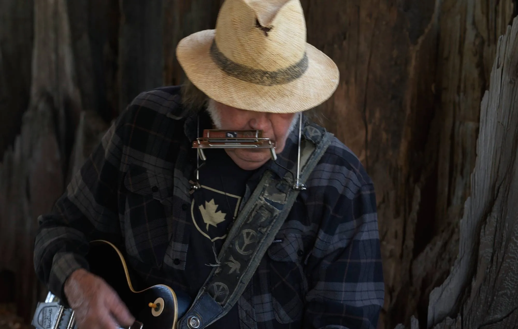 Musisi Neil Young mengumumkan album baru bersama The Chrome Hearts