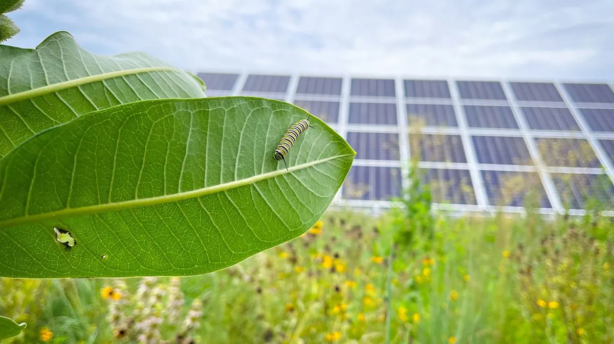 Instalasi panel surya di lahan pertanian yang dikelilingi vegetasi hijau