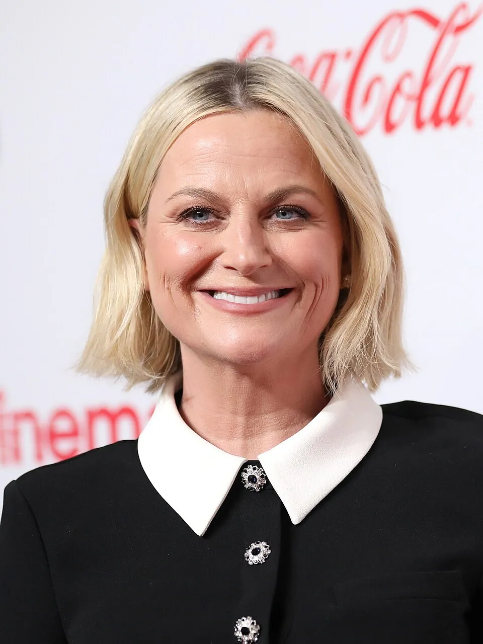 Potret aktris dan komedian Amerika Serikat Amy Poehler dalam sebuah acara penghargaan