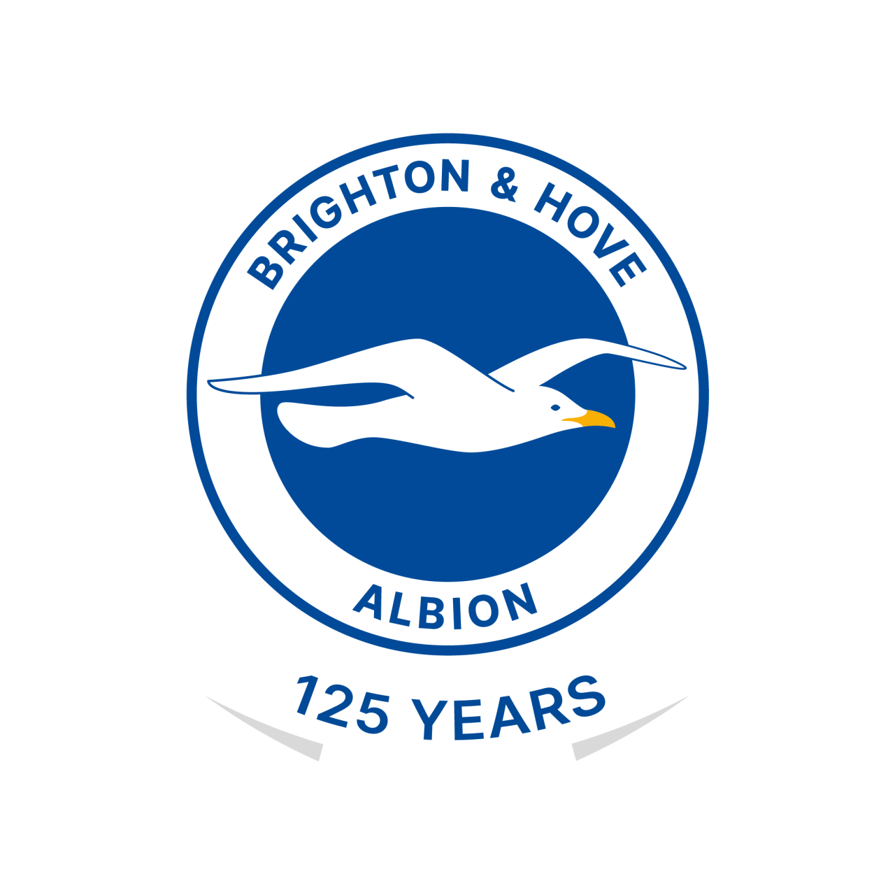 Klub sepak bola Inggris Brighton and Hove Albion F.C. di stadion