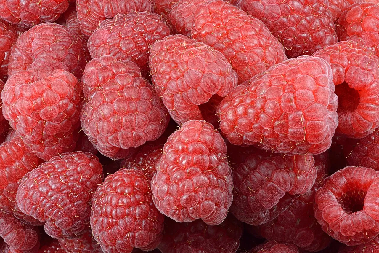 Lembutung atau rasberi merupakan buah agregat bergizi dari genus tanaman Rubus