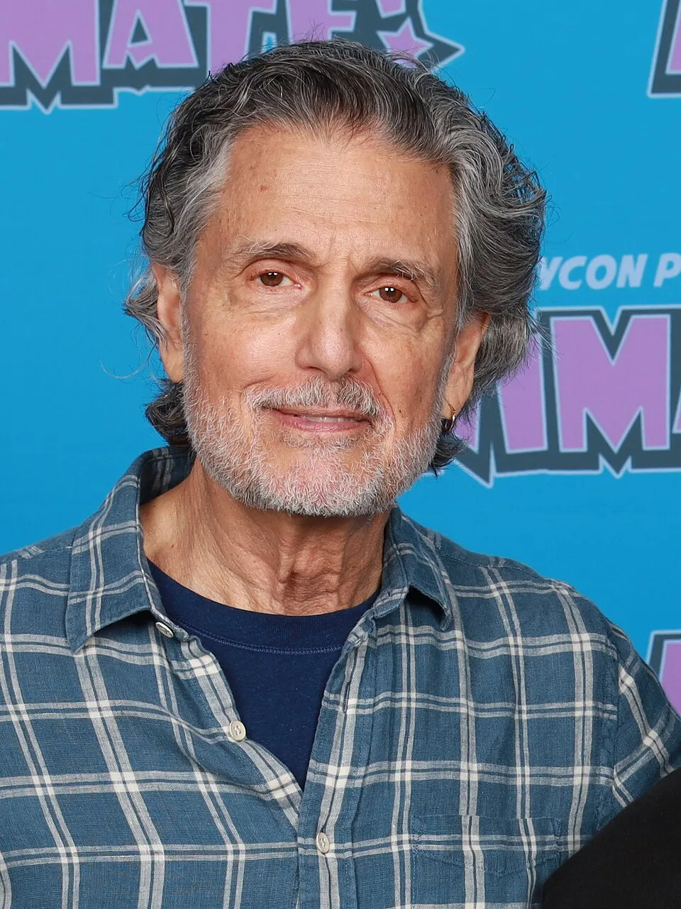 Aktor senior Hollywood Chris Sarandon peraih nominasi Academy Award