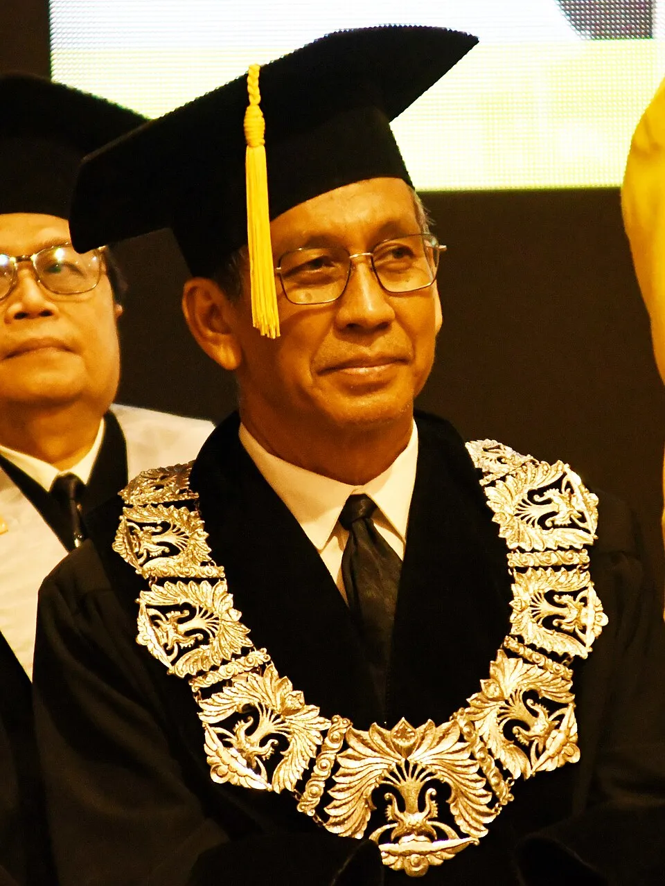 Profil Hamdi Muluk, Wakil Rektor UI dan pakar psikologi politik