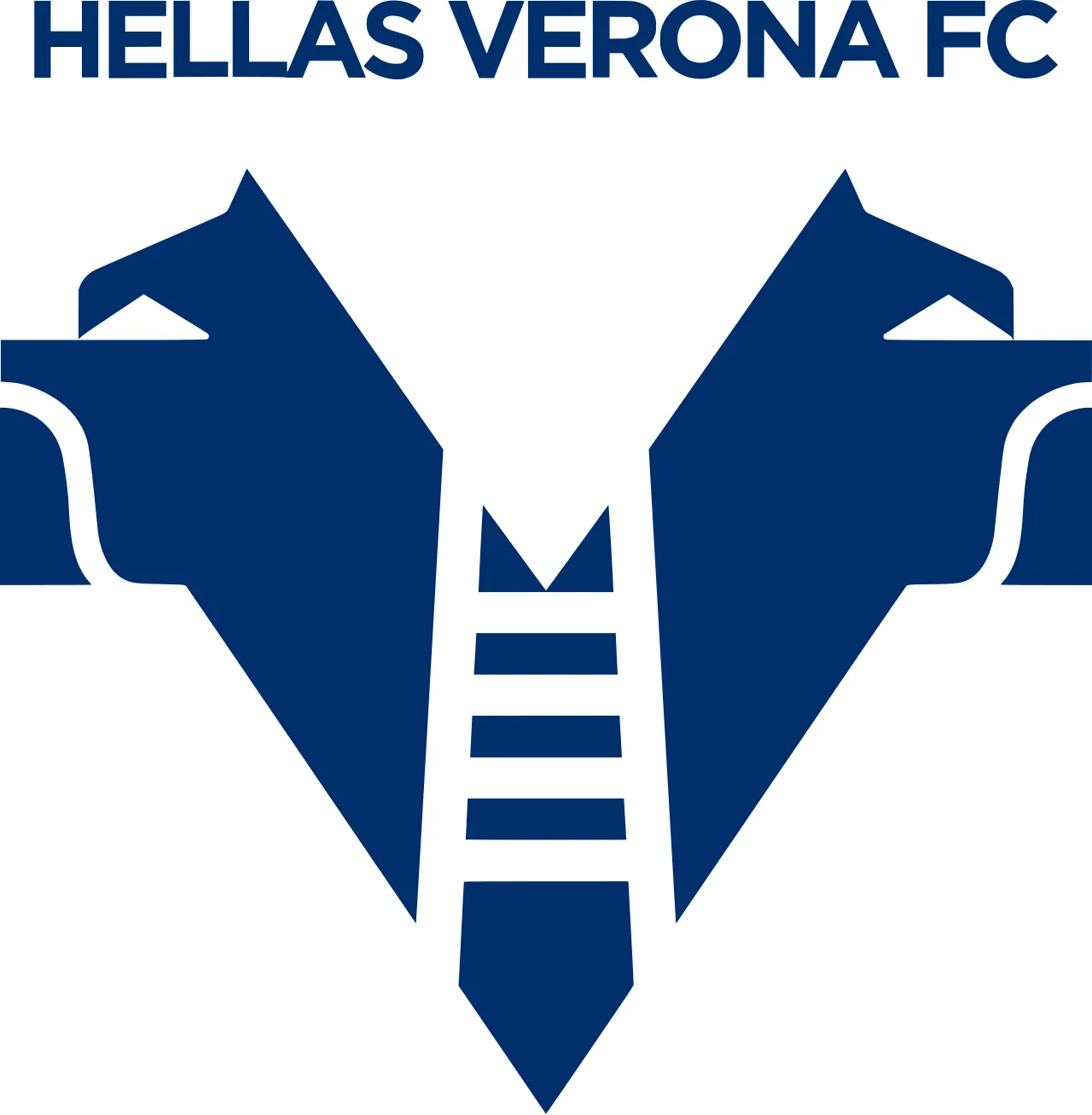 Skuad Hellas Verona FC saat bertanding di kompetisi Liga Italia