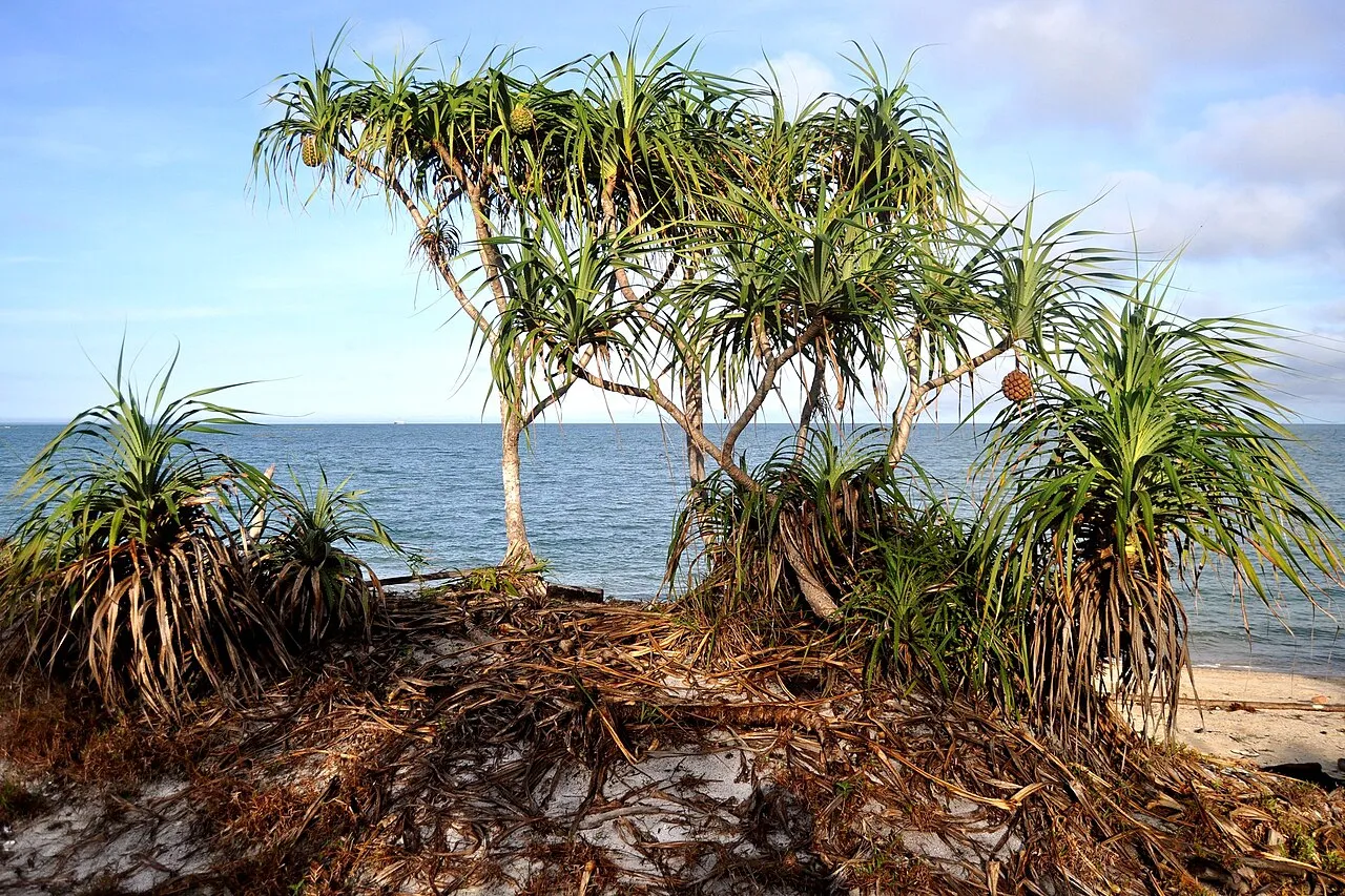 Pemandangan wilayah pesisir di Kabupaten Bangka Selatan yang mempesona