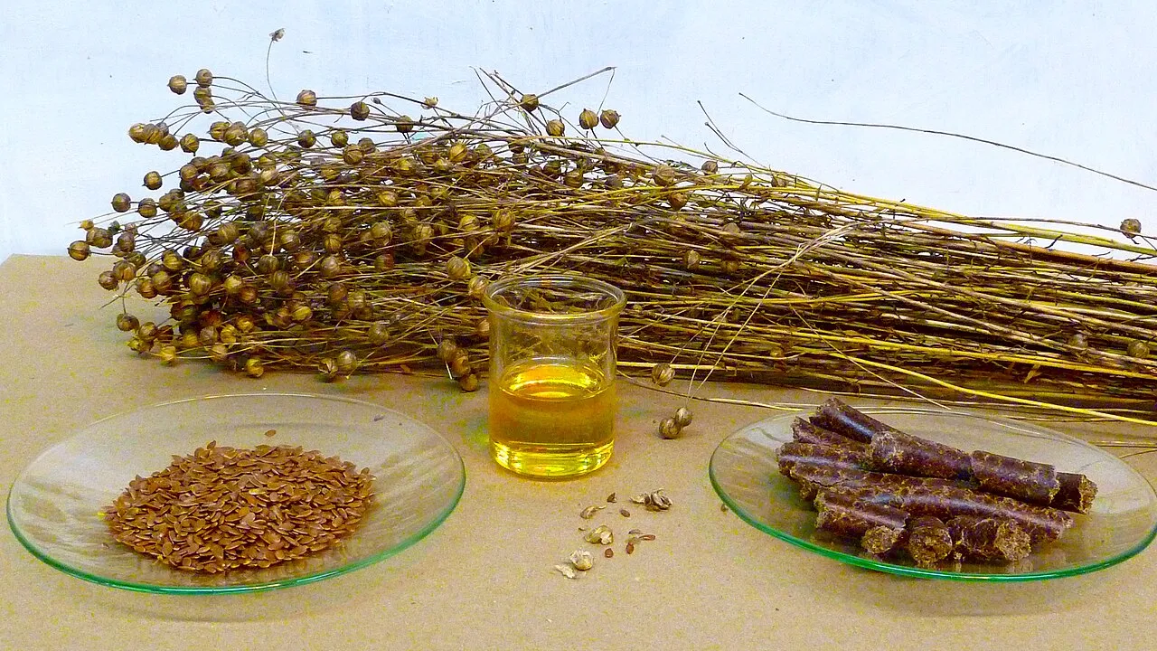 Ilustrasi botol minyak nabati dan bahan pangan yang berkaitan dengan isu kesehatan minyak biji