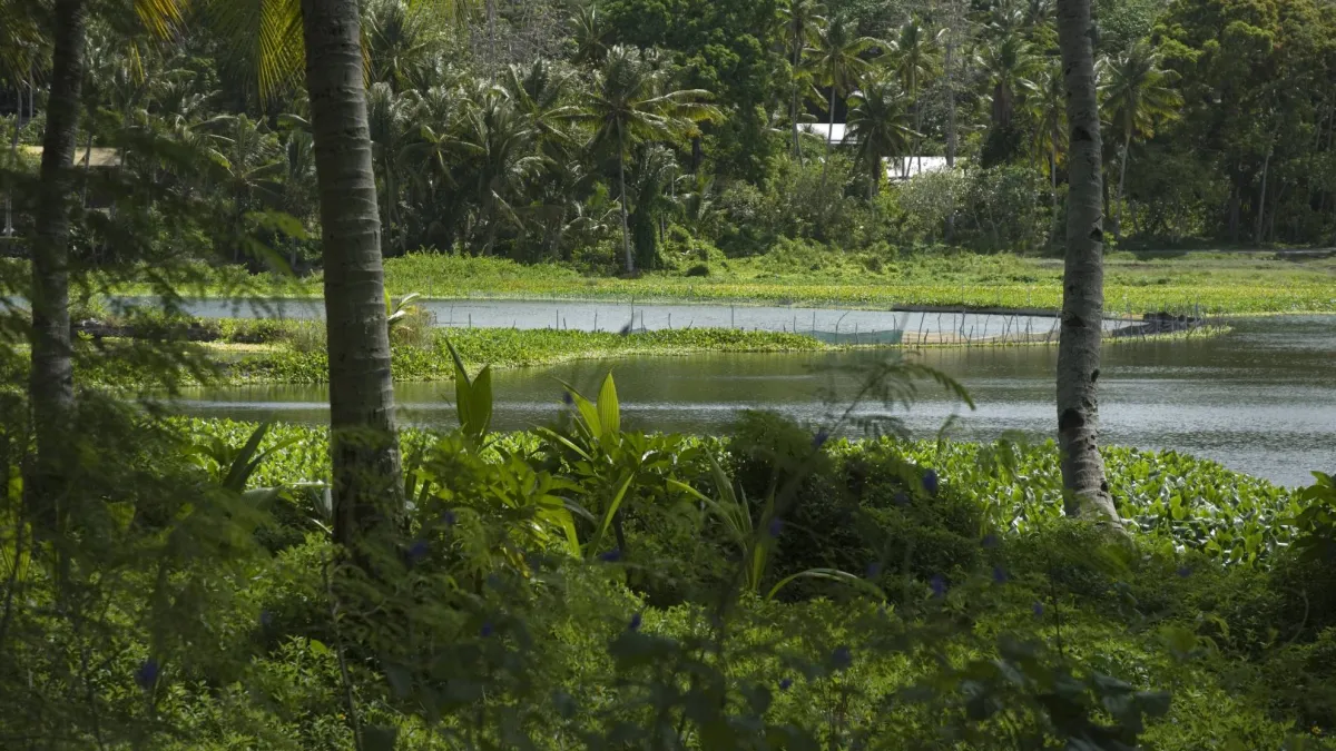 Pemandangan udara pulau Nauru, negara terkecil ketiga di dunia yang menghadapi krisis perubahan iklim