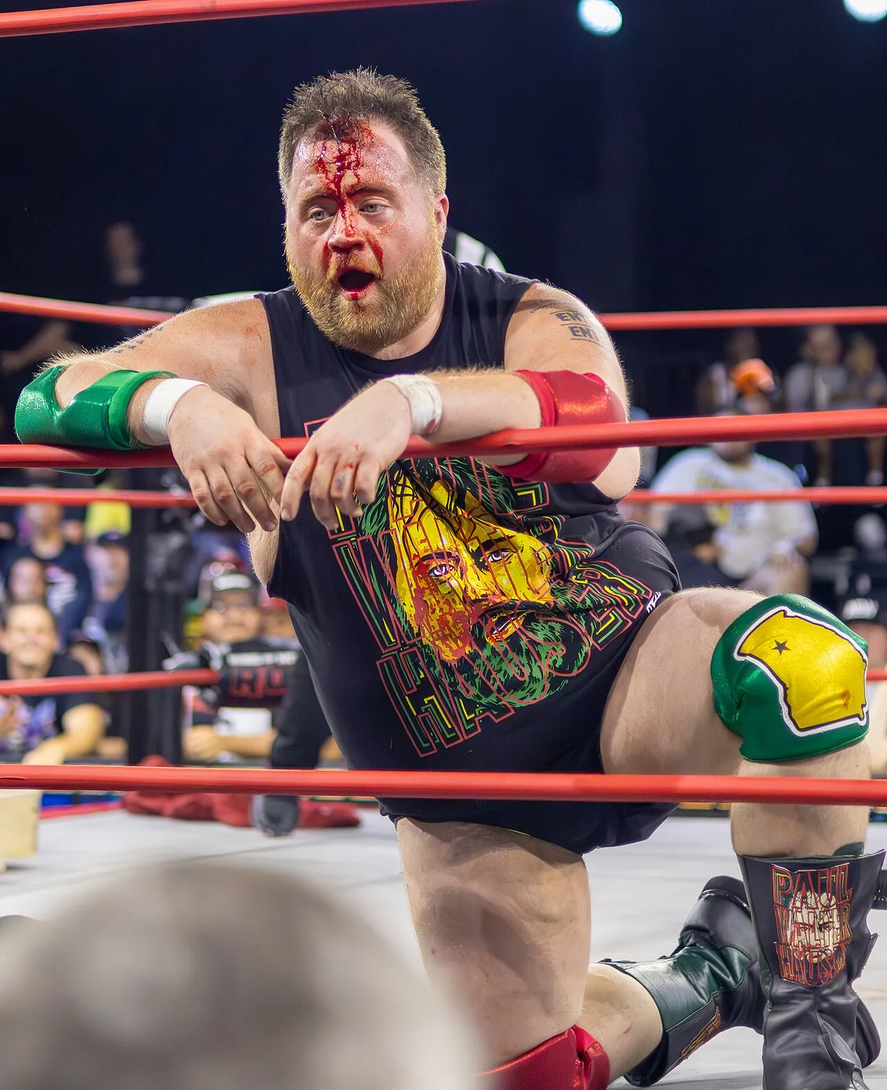 Aktor dan pegulat profesional Paul Walter Hauser dalam sebuah acara hiburan
