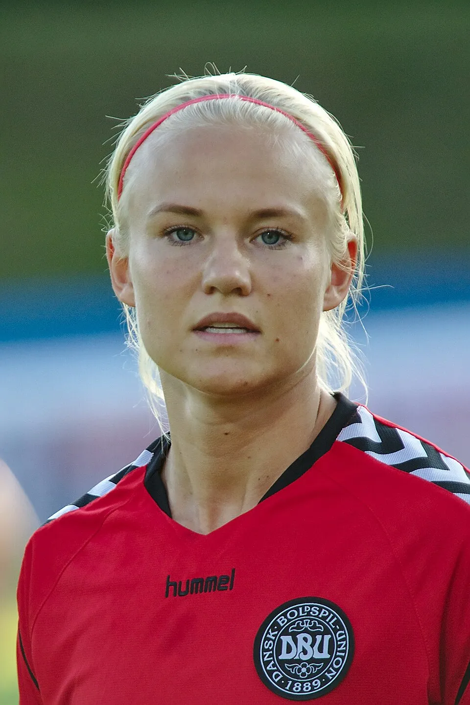 Trofi dan profil penghargaan Pemain Terbaik Denmark