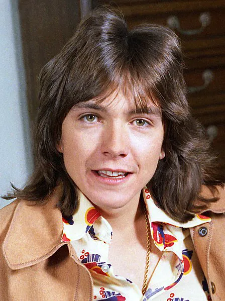 Aktor dan musisi legendaris asal Amerika Serikat David Cassidy