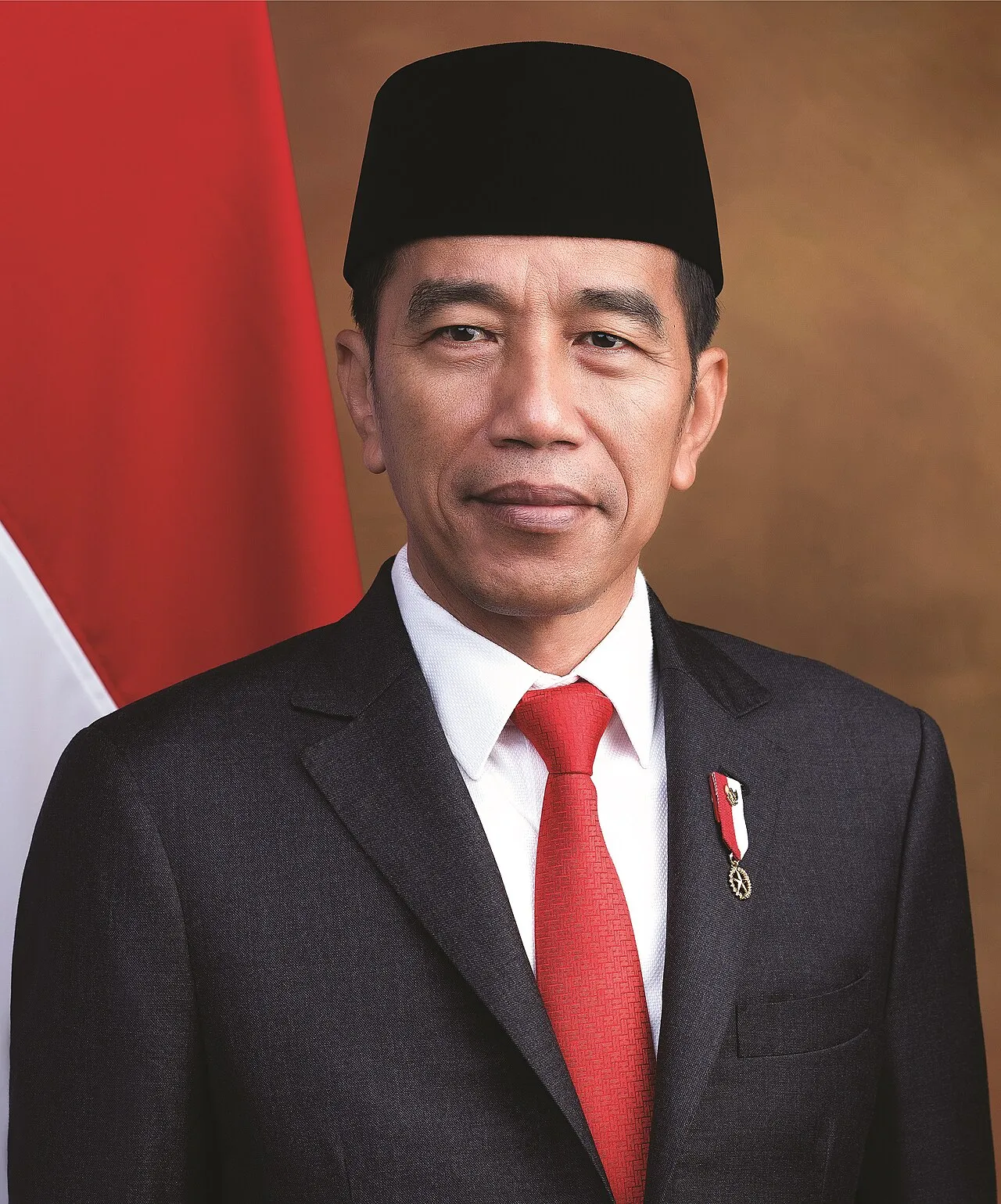 Potret Joko Widodo mantan Presiden Republik Indonesia ketujuh