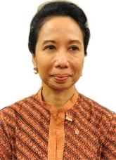 Profil Rini Soemarno mantan Menteri BUMN dan ekonom Indonesia