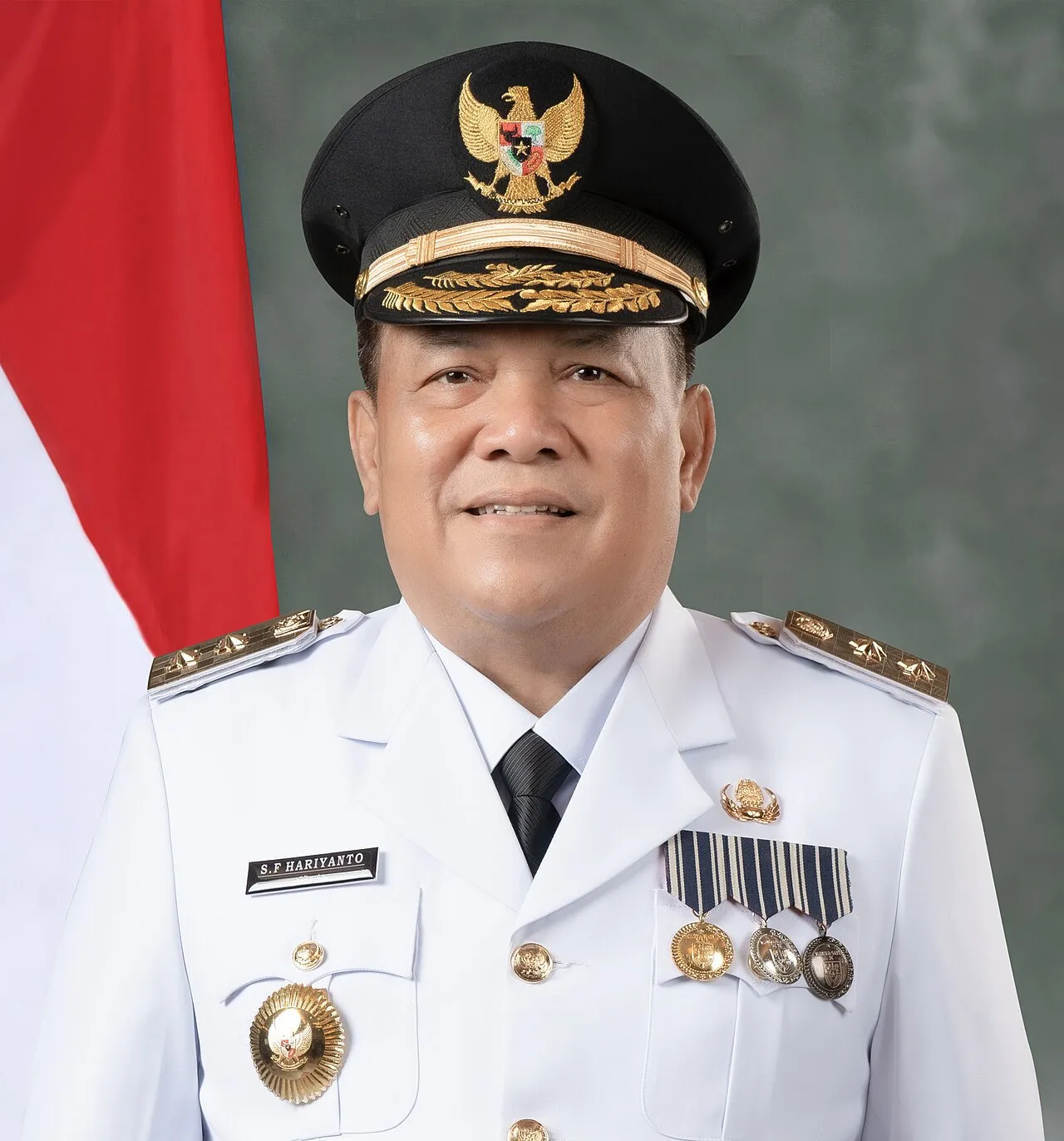 Wakil Gubernur Riau S.F. Hariyanto