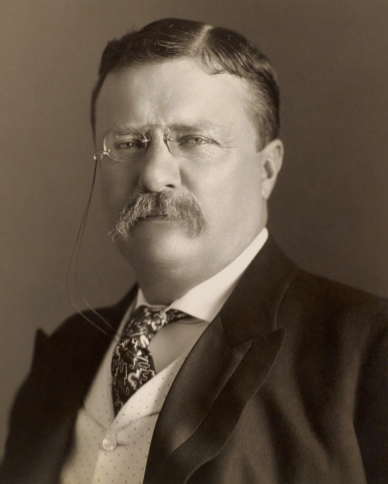 Potret resmi Presiden ke-26 Amerika Serikat Theodore Roosevelt