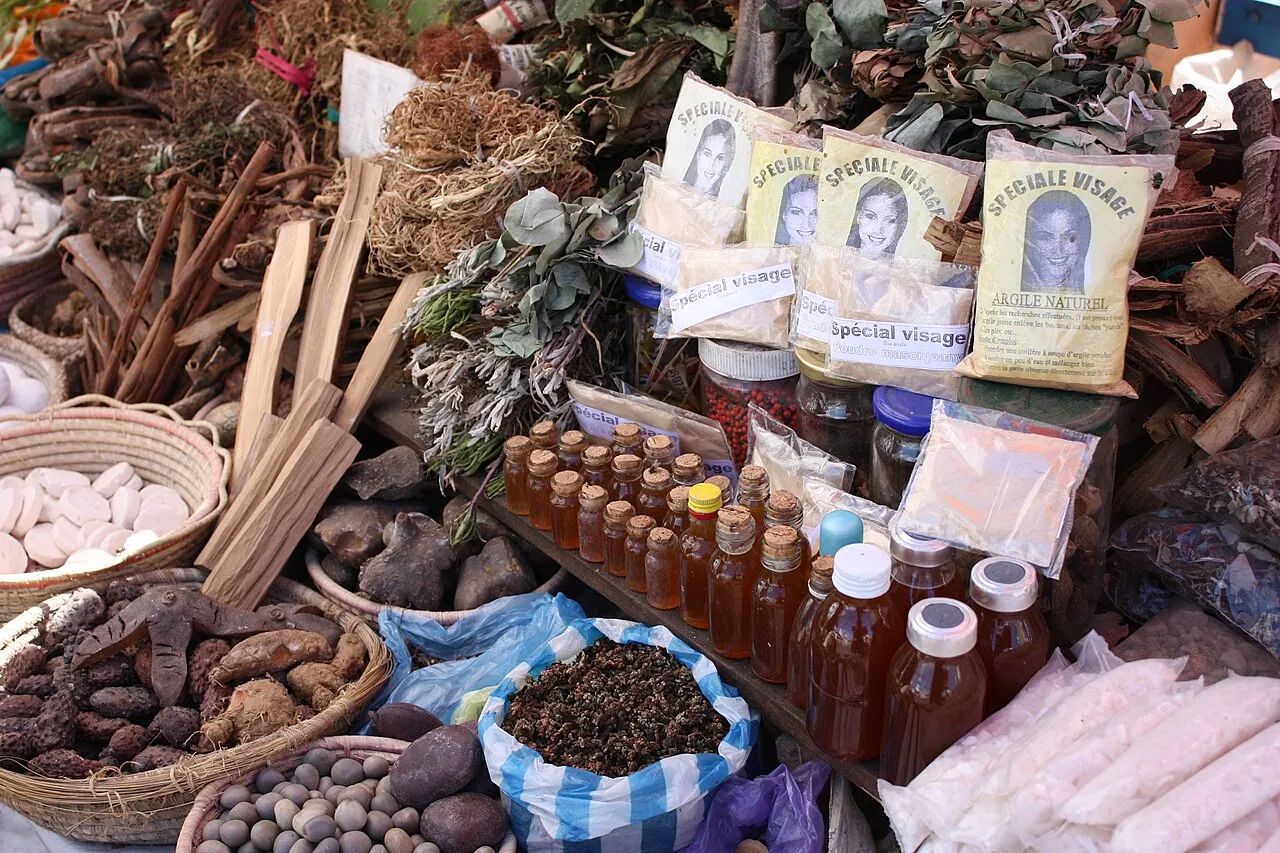 Pemandangan atol tropis Tokelau di Samudra Pasifik