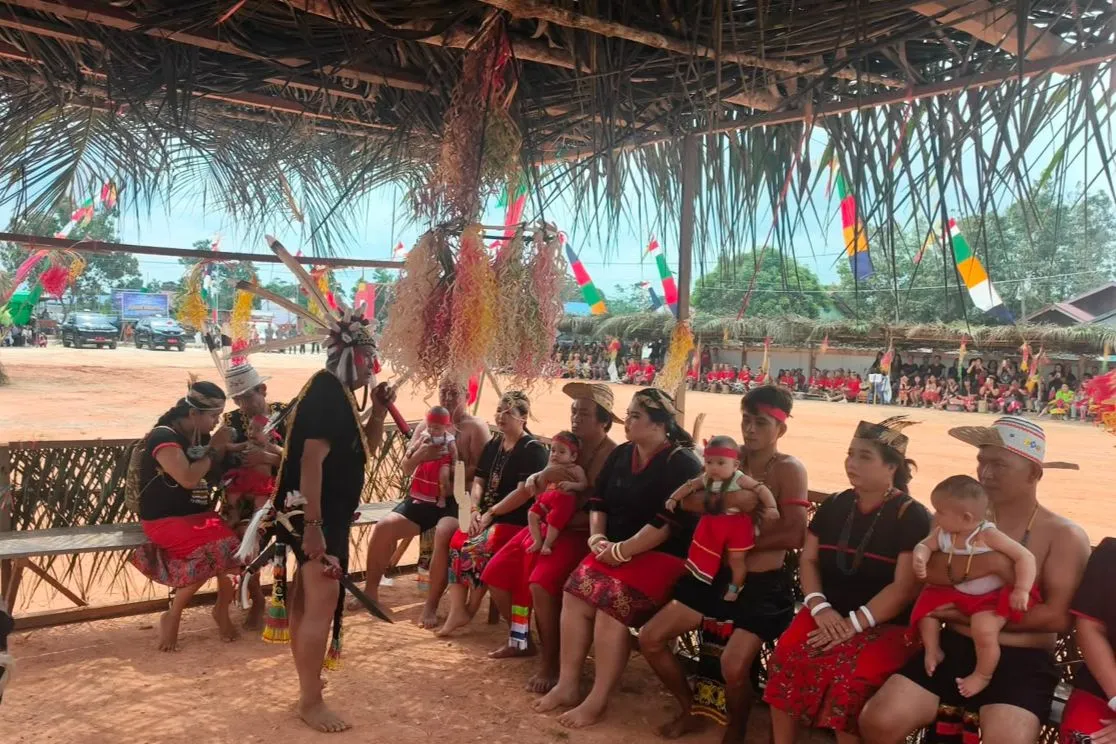 Lima bayi laki-laki mengikuti prosesi adat Ufah suku Dayak Kayan di Kutai Timur