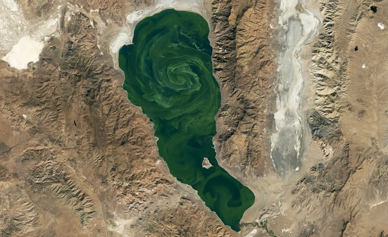 Citra satelit NASA menampilkan fenomena ledakan fitoplankton di Pyramid Lake