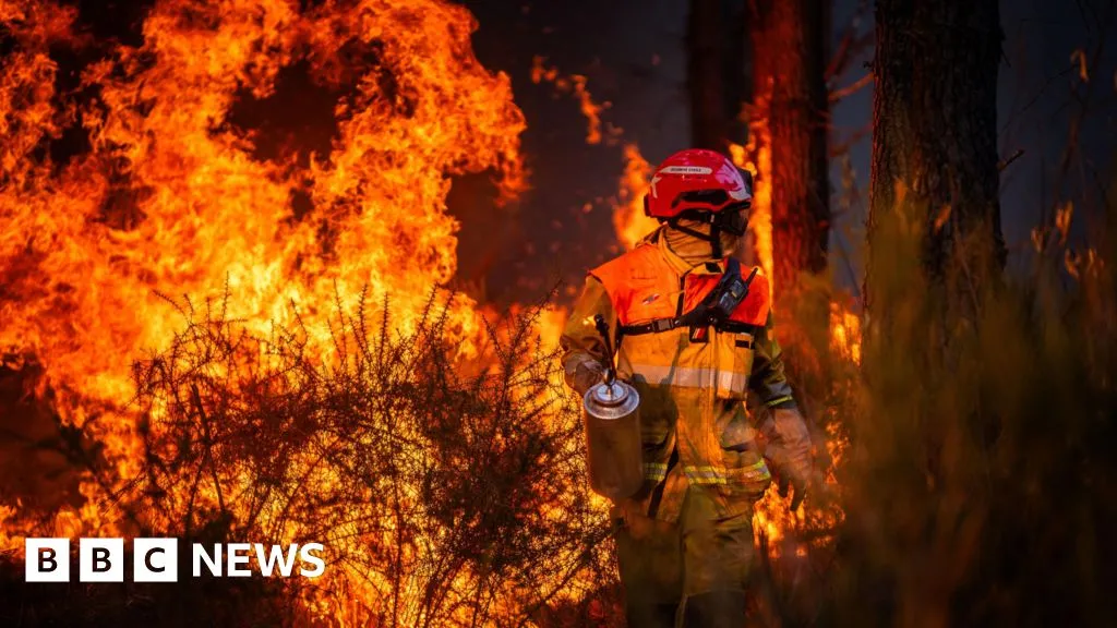Petugas pemadam kebakaran berjibaku memadamkan api dalam musibah kebakaran hutan di Prancis
