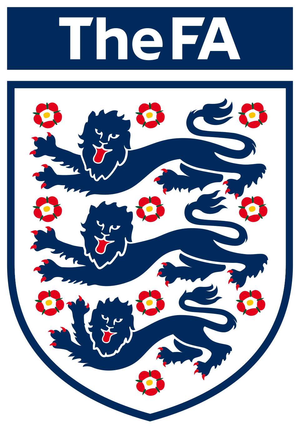 The football association