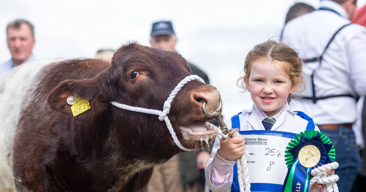 Suasana meriah Tullamore Show di Co Offaly yang dihadiri puluhan ribu pengunjung