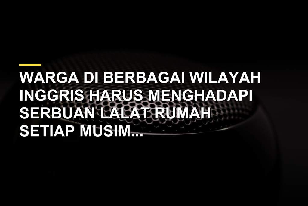 Ilustrasi serbuan lalat rumah di pemukiman warga Inggris saat musim panas