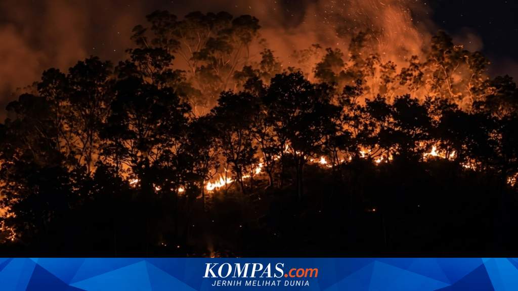 Petugas pemadam kebakaran dan TNI Polri mengamankan lokasi kebakaran lahan di Sorong Utara