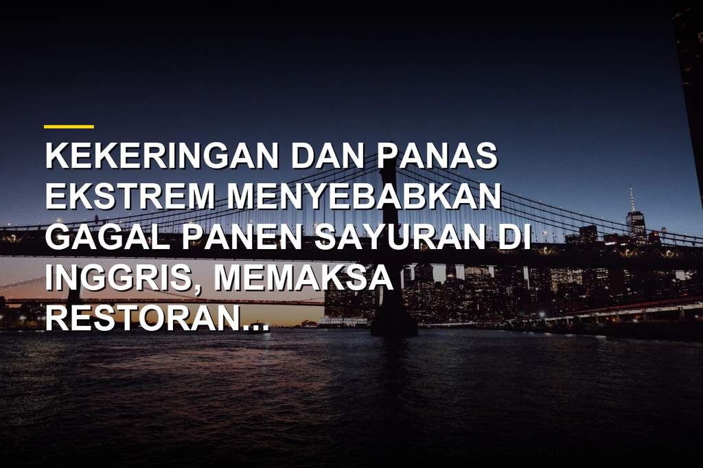 Lahan pertanian kering dan layu akibat kekeringan ekstrem di Inggris